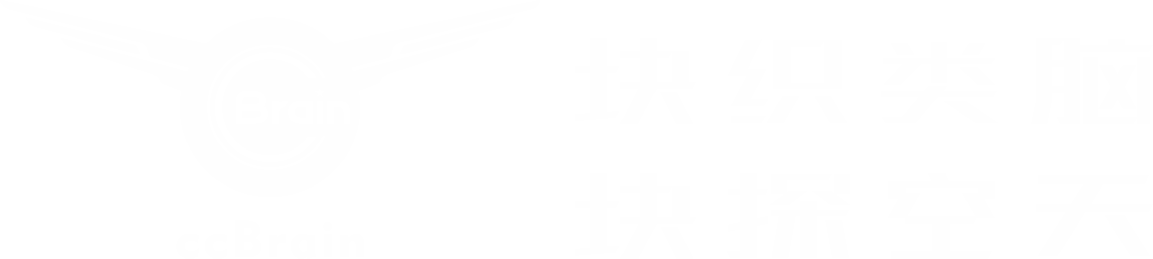 块织类脑 BrainyUAS